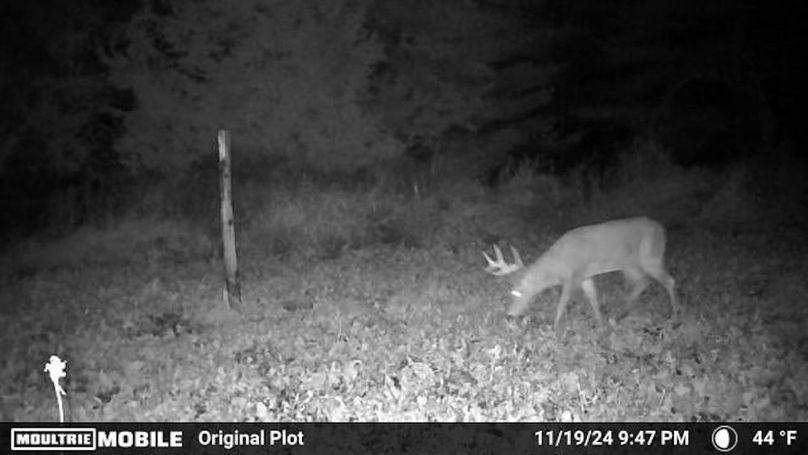 Temp_1082385-20241120034741-100MFCAM_MFDC0562