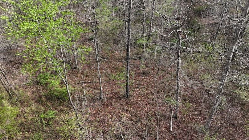 DJI_20260403174639_0233_D