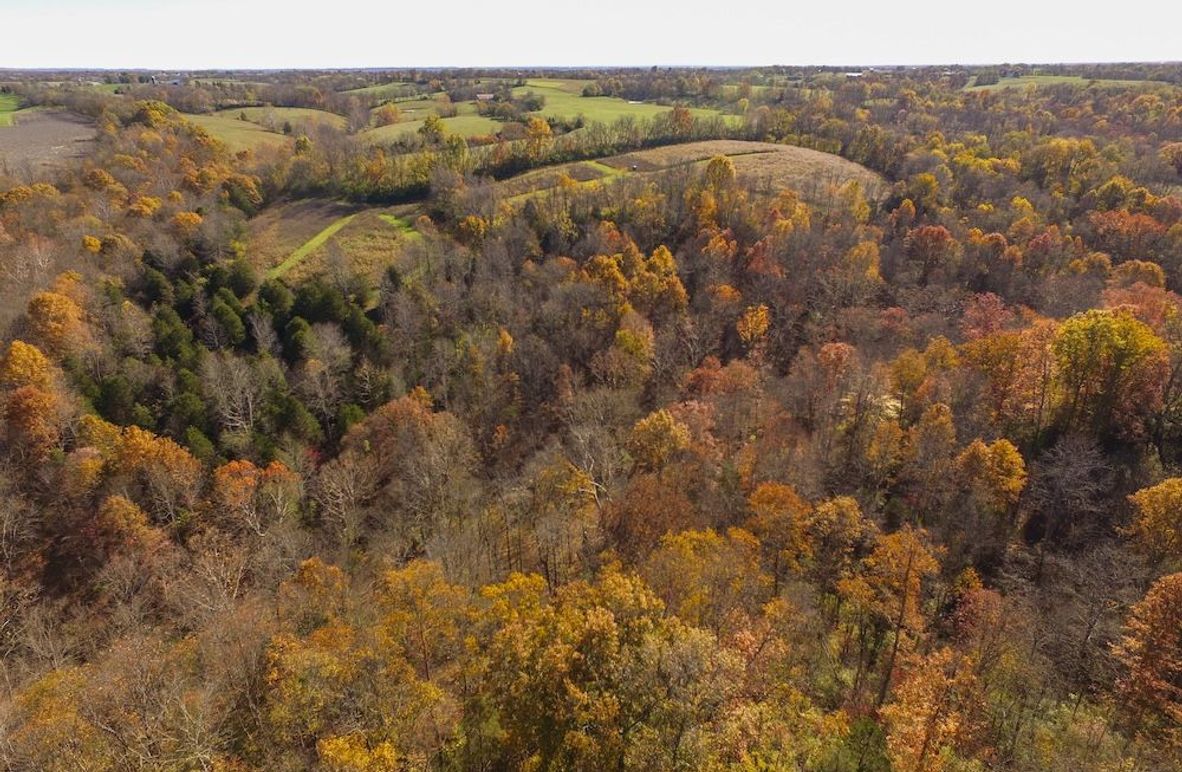 Fleming Petry 115-04