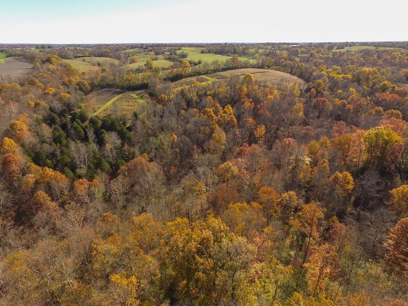 Fleming Petry 115-04