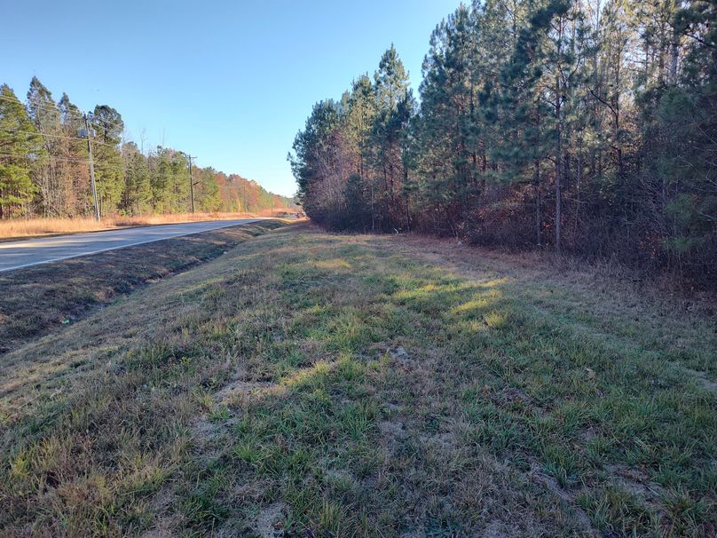 IMG_20231119_143847076_HDR