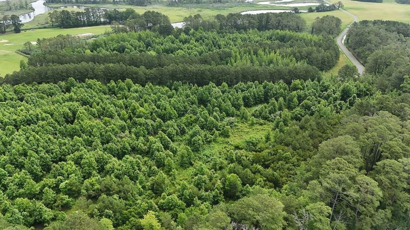 Z5_IMG16_60AC_dji_fly_20250613_103346_0015_1749852305340_photo