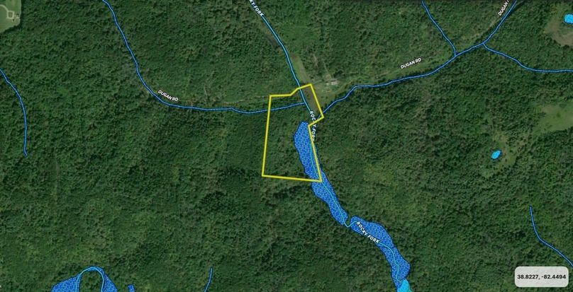 Pic 2 _ Galllia 17.22 Rod Inman _ wet lands