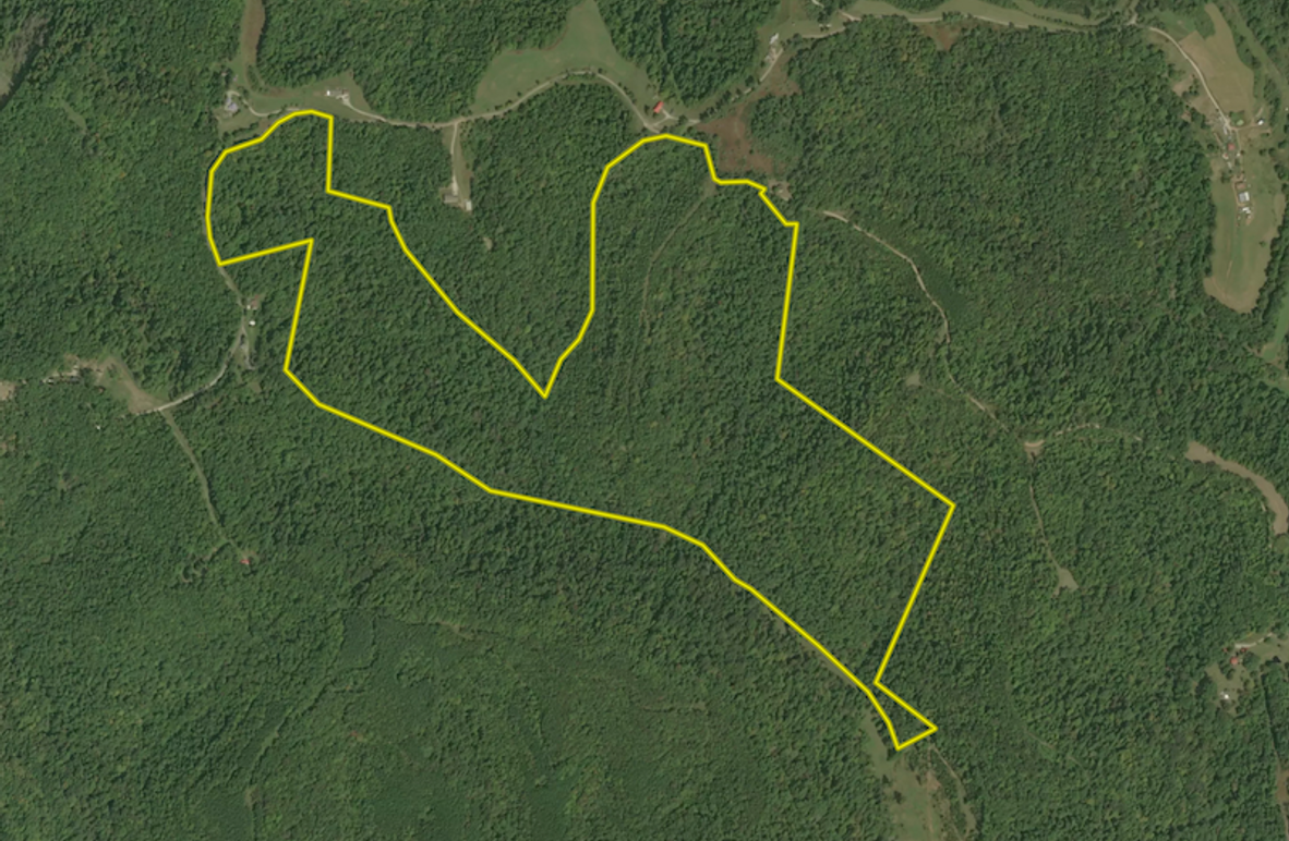 Screenshot 2025-05-15 at 10.45.34 AM