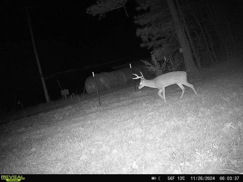 864049057770267-1-4-11262024060336-V-W1001822