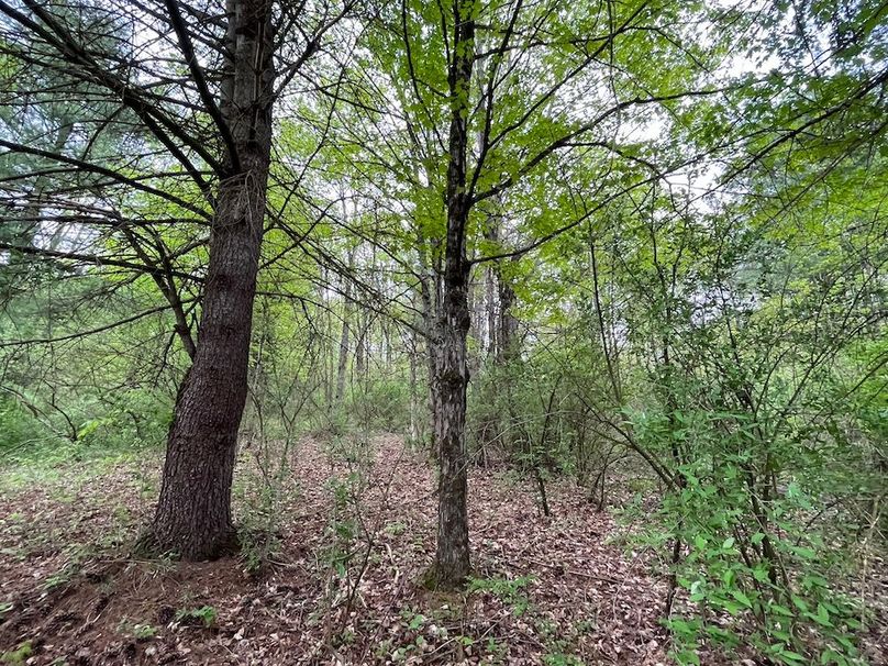 Tioga_78_Biada_Photos_83