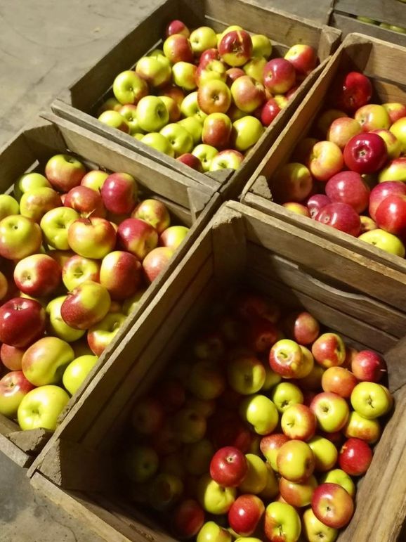 Apples(2)