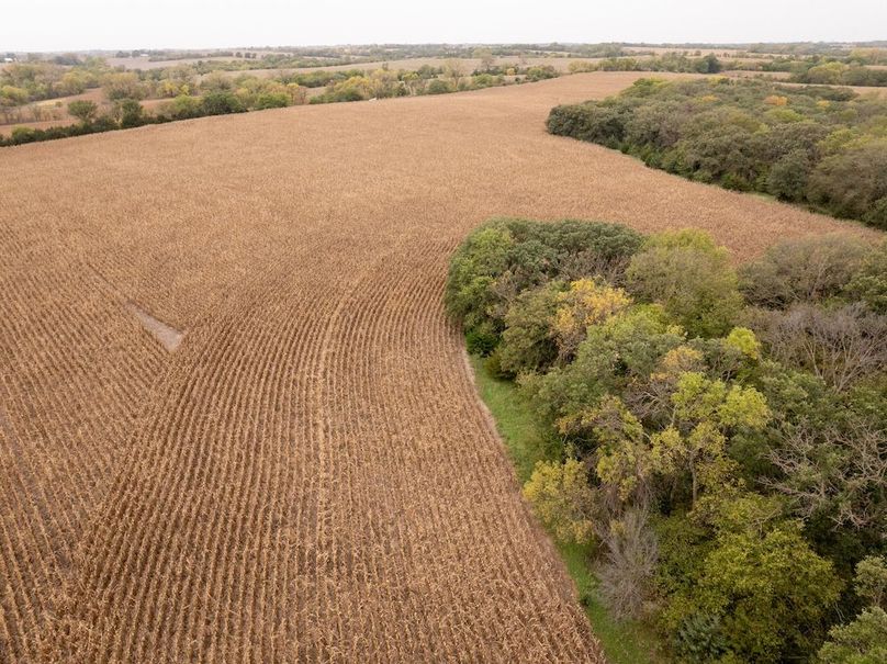 DJI_20251011102134_0145_D