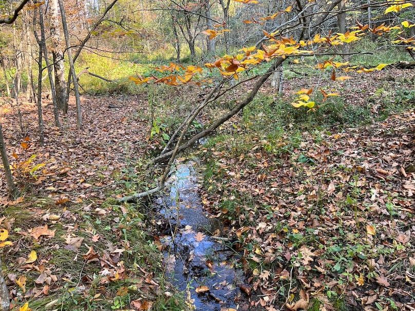 Yates_29_Stape Photo 7