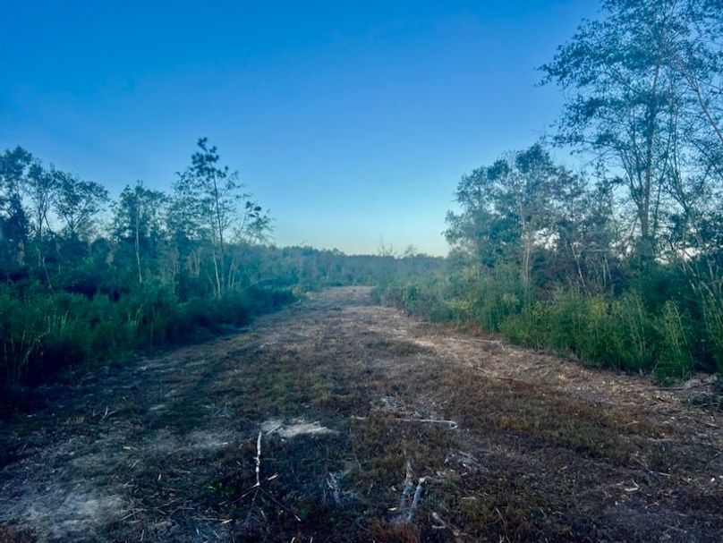 063DEC54-1974-4F80-9B65-A2E1814A85B3_1_105_c