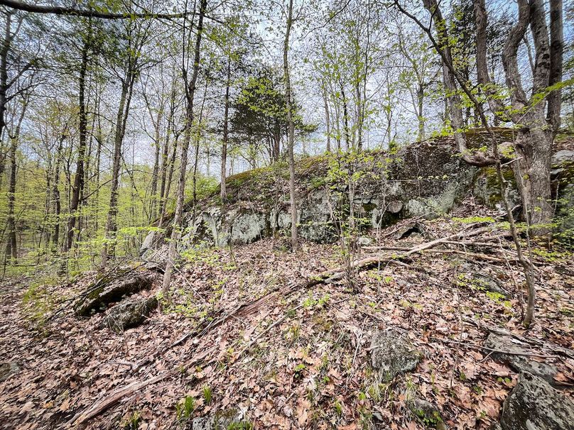 Jefferson_148.1_Flood_Photos_69