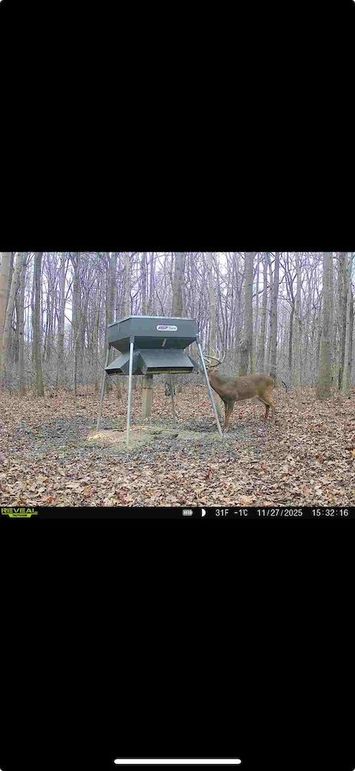 Screenshot 2026-01-09 at 12.37.15 PM