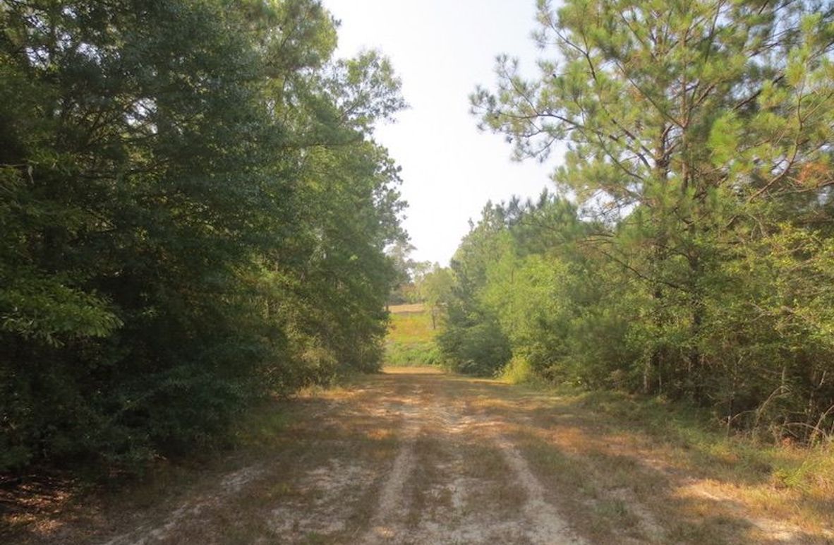 3EC78942-FC02-4CEA-B7BE-9C48ED41A9FB_1_105_c