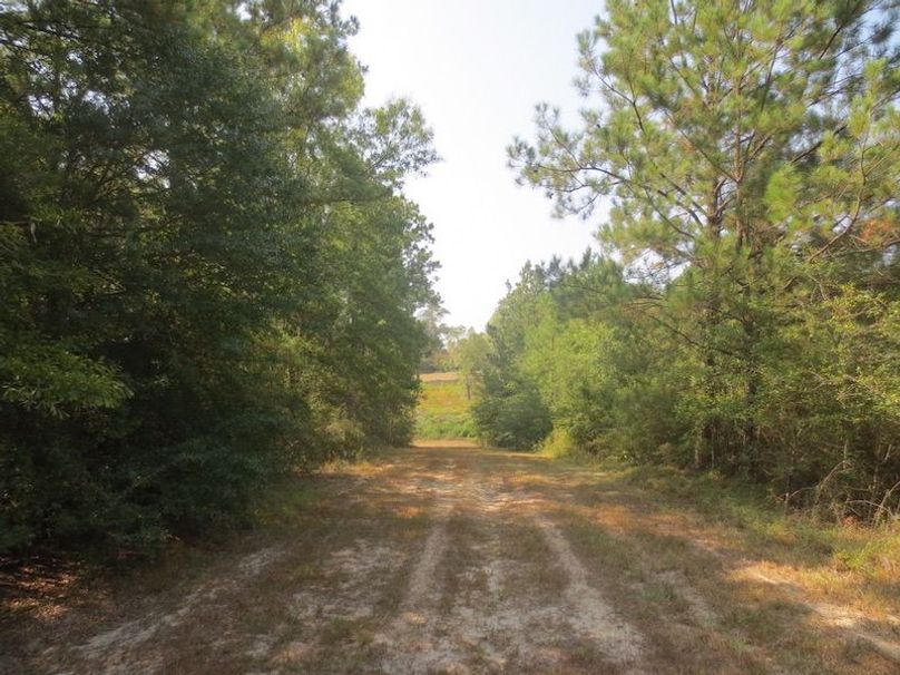 3EC78942-FC02-4CEA-B7BE-9C48ED41A9FB_1_105_c