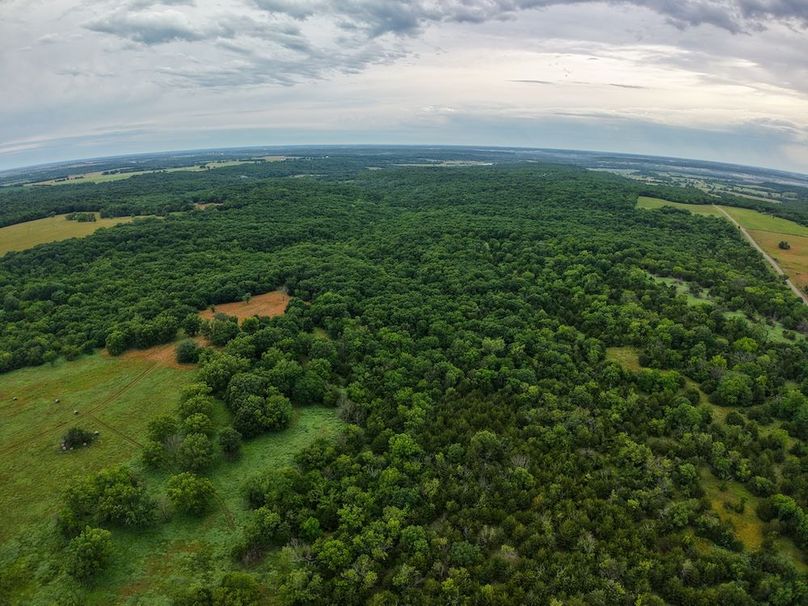 DJI_20250630072543_0324_D