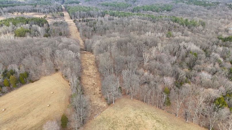 DJI_20250314170011_0258_D