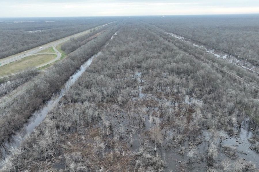dji_fly_20250206_103226_970_1738862291832_photo