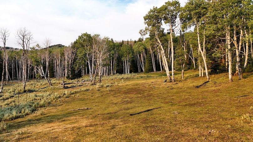 DJI_20250726185725_0249_D