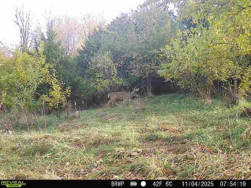 860322065924133-100-4-11042025075418-W1000523