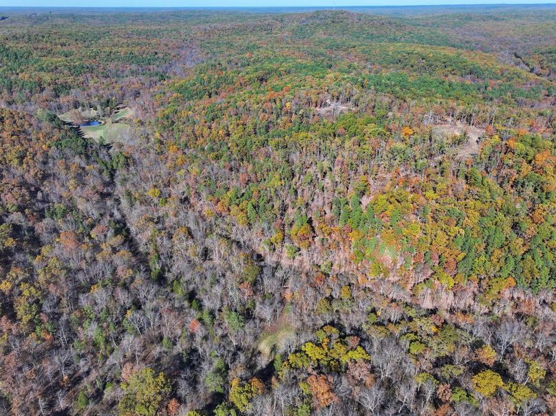 DJI_20251104130314_0838_D