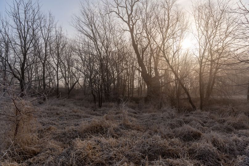_AR32585-HDR-73