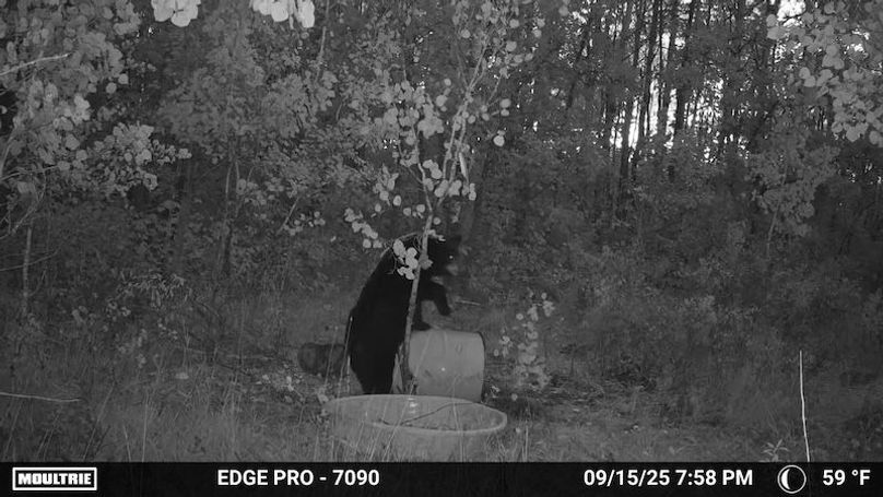 image639020099500027930