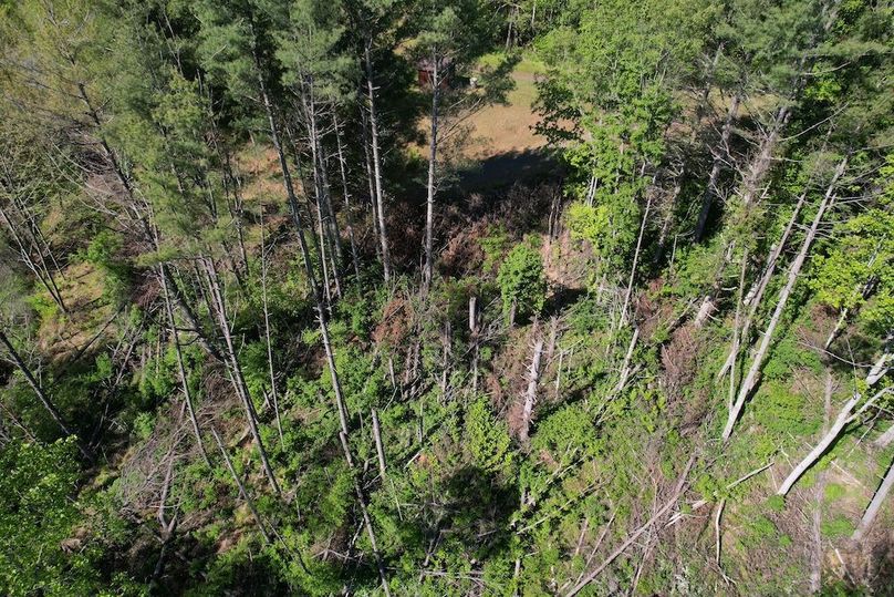 DJI_0011
