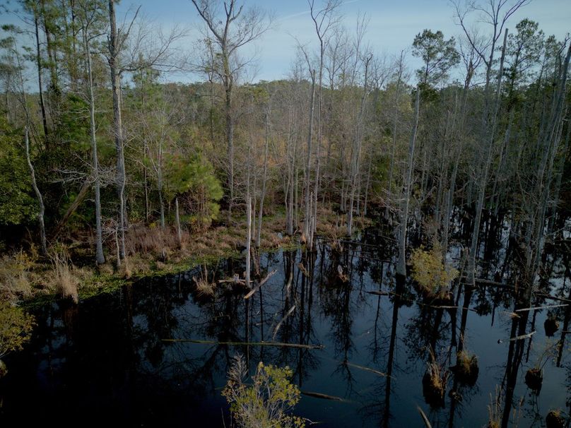 DJI_20240227082700_0015_craven60