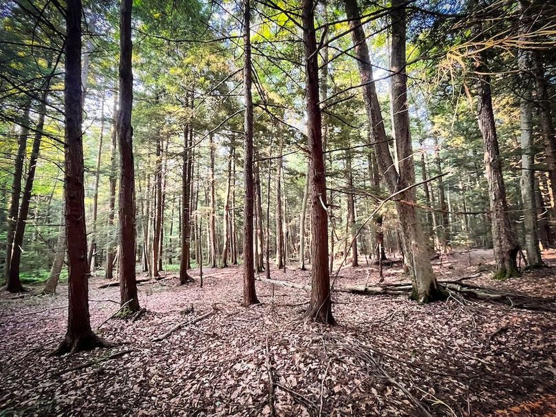 Oswego_25.66_Pettit_Photos_41