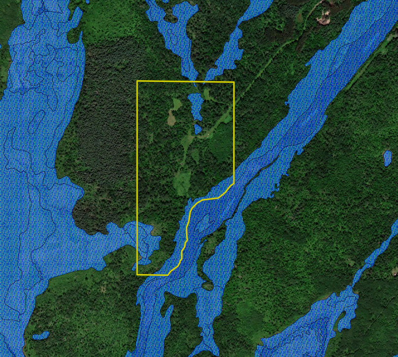 TBD Erickson Rd. wetland layer