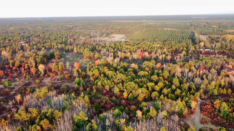 dji_fly_20241011_174812_442_1728687464687_photo_optimized 2