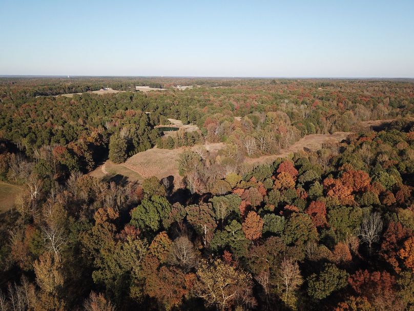 DJI_0063