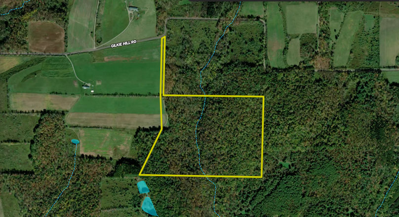 Tioga_59.597_Barnes_Landid_4