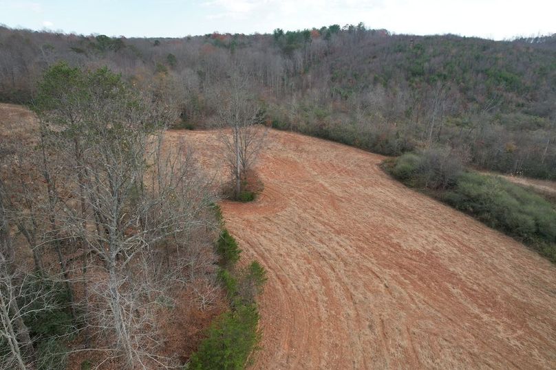 dji_fly_20251120_022428_932_1763686467012_photo