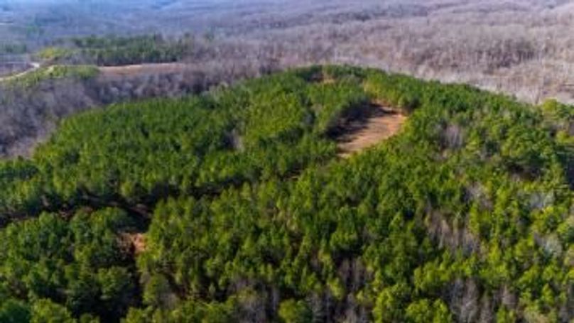 mckinnon tract 14-12