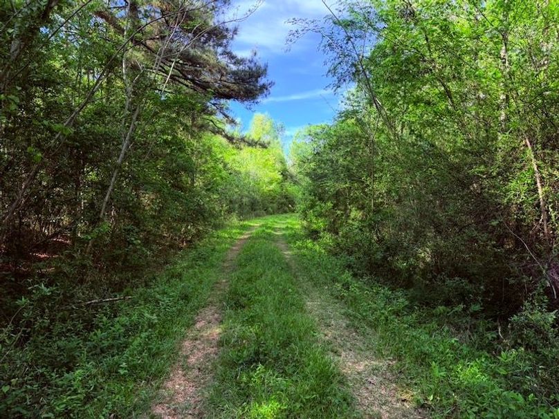 331D0EED-F9F8-4A62-B77A-B0B4AD3B03F2_1_105_c