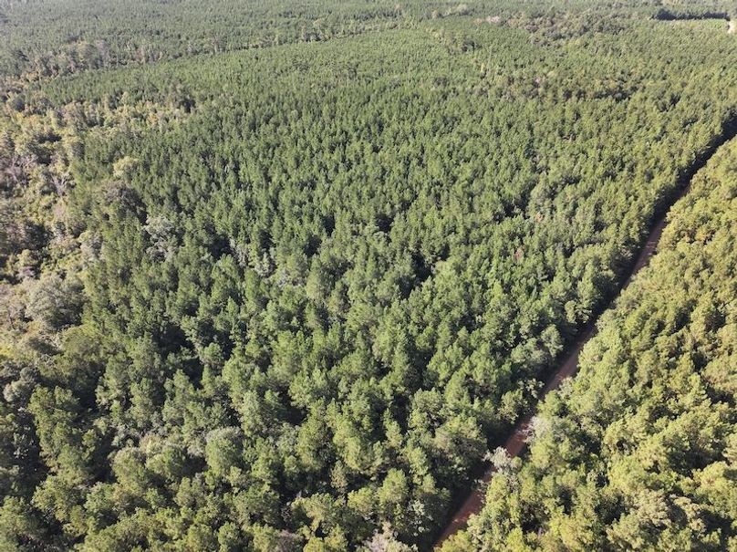 dji_fly_20250908_093904_0416_1757354103801_photo