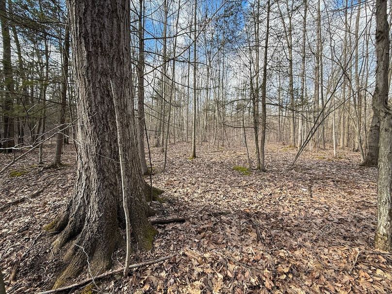 Chemung_59.65_Kocsis_photos_41