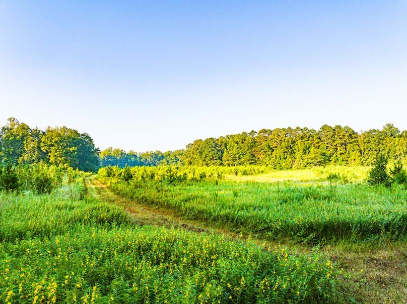 Itawamba 400 Moore-15