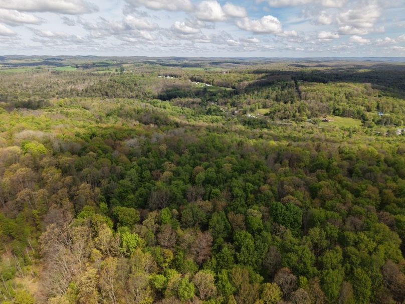 dji_fly_20260515_091640_0049_1778855385055_photo