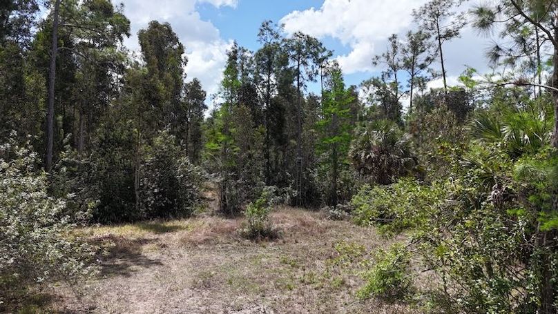 DJI_20260403125930_0467_D