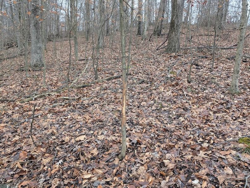 PXL_20260107_165902615