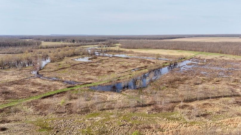 dji_fly_20260325_110918_0711_1774471953870_photo