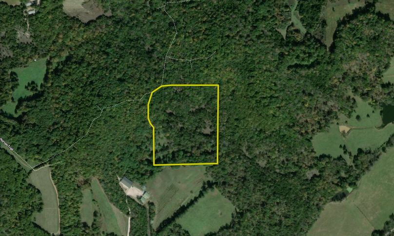 Screenshot 2024-09-24 at 10.36.00 AM