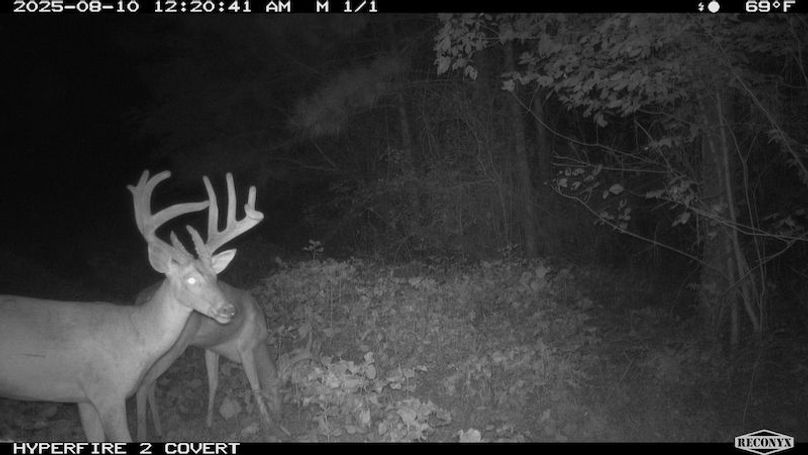 TwinStatesTrailCam00