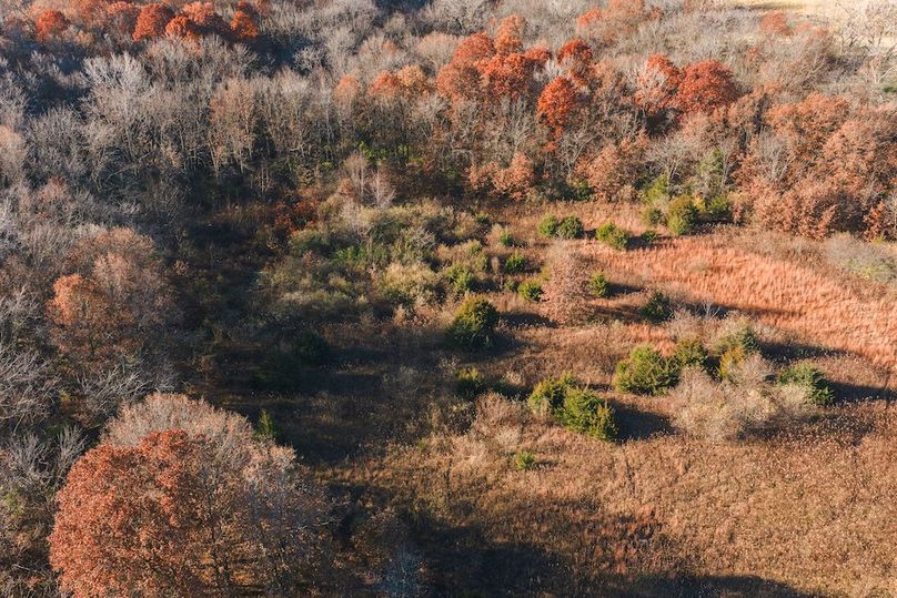 DJI_20251116082806_0101_D