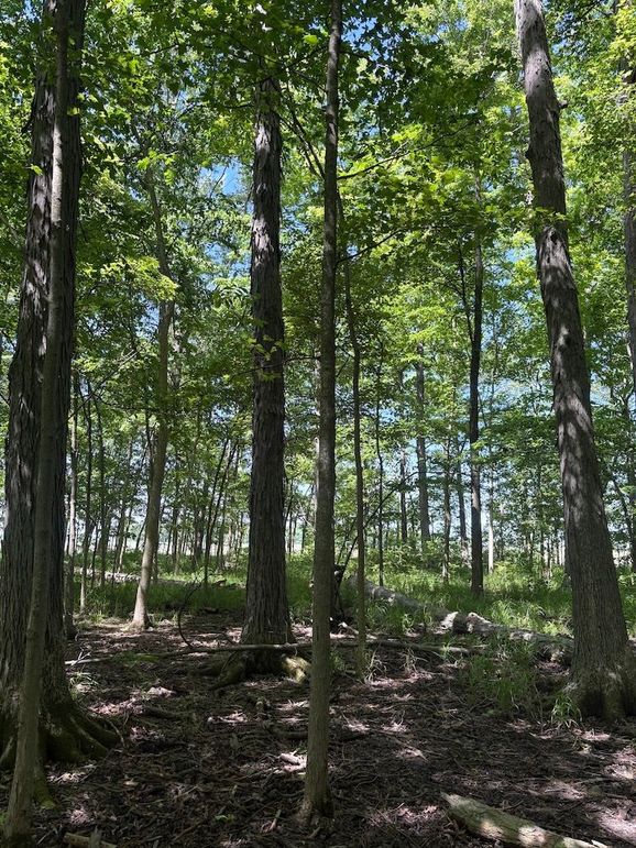 trail 7