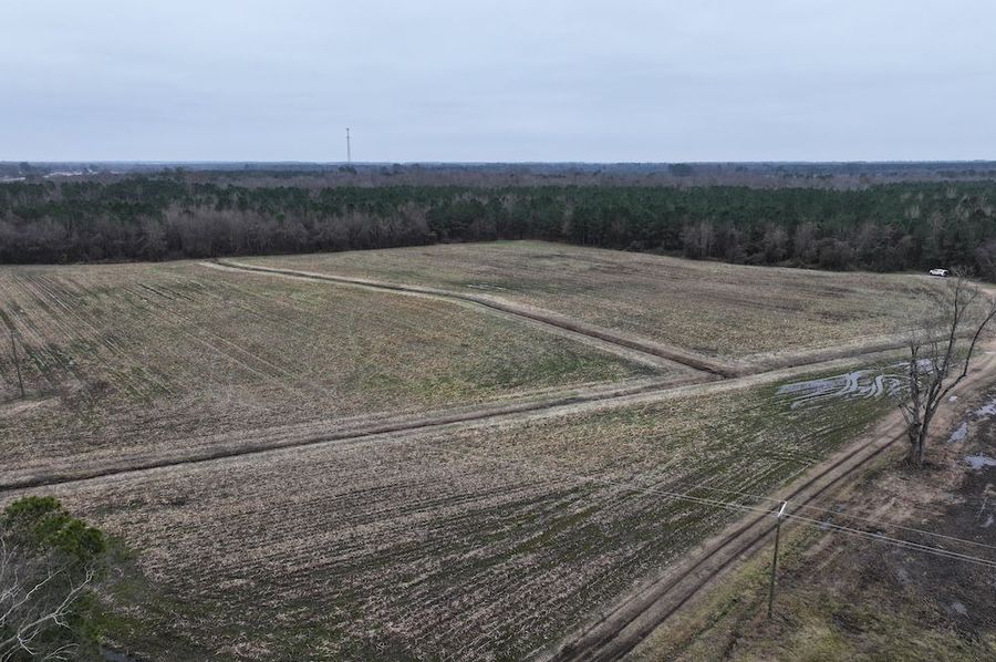 DJI_20241221094549_0227_D