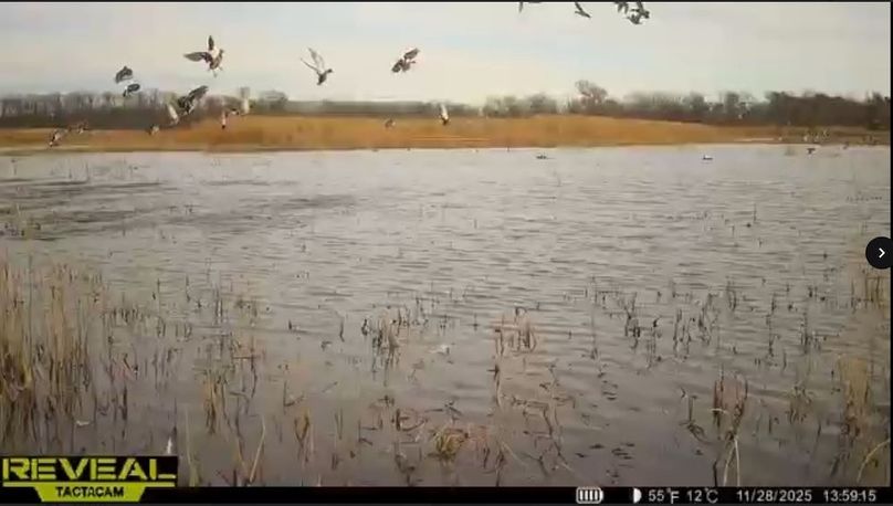 Screenshot_24-1-2026_91117_drive.google.com