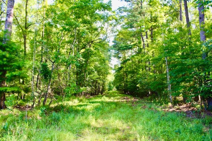 2DBB6A0D-A0D6-4C30-A816-2C2D374B8499_1_201_a